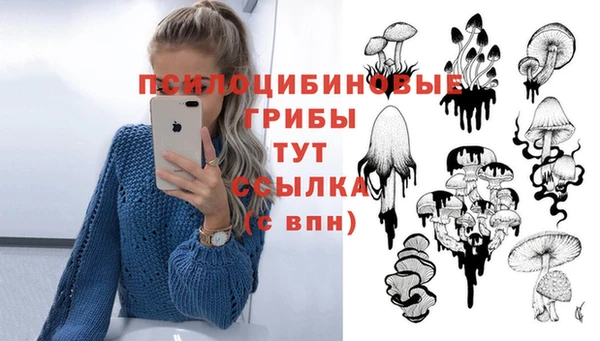 дурь Михайловка
